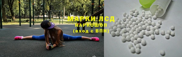 mdpv Новодвинск
