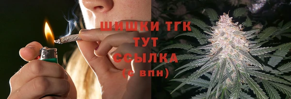 первитин Новозыбков