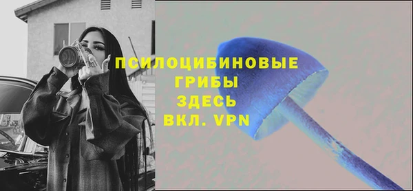 первитин Новозыбков