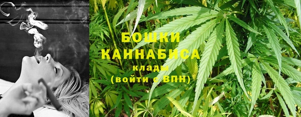 mdpv Новодвинск